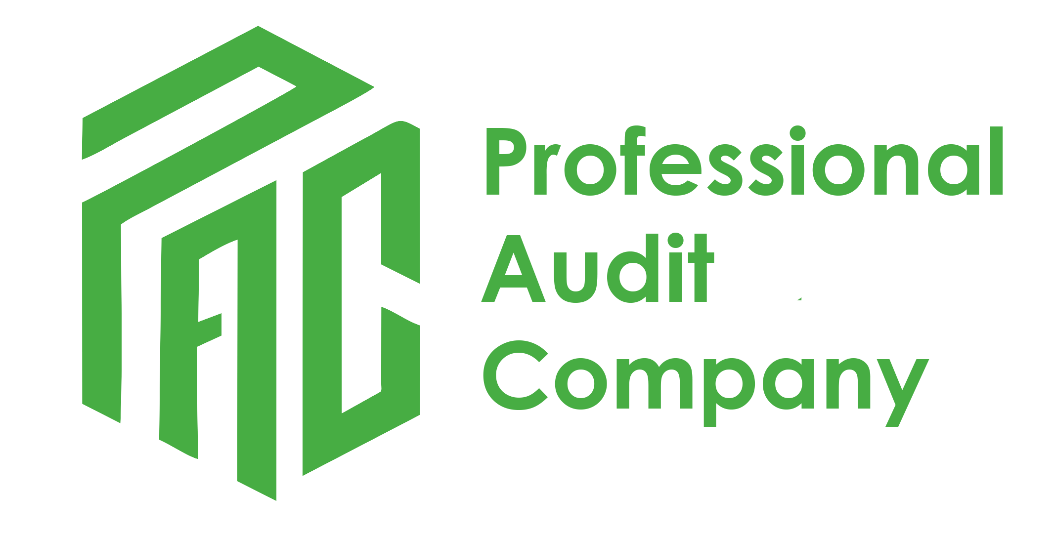 logo audit